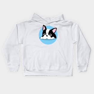 Boston Terrier Kids Hoodie